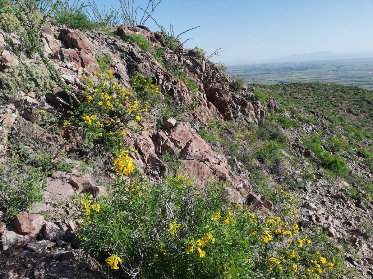 La Cuenca del río San&nbsp;Pedro