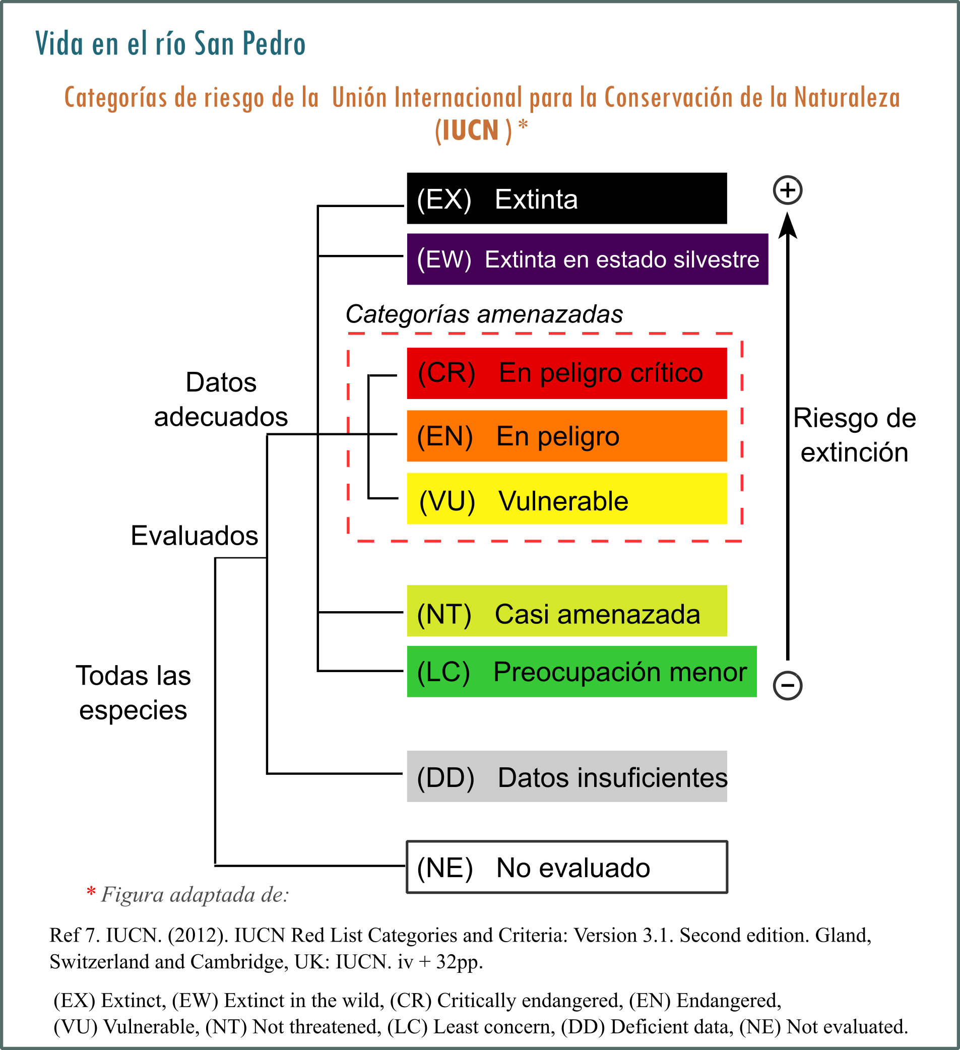 Categorías de riesgo de acuerdo con la Unión Internacional para la Conservación de la Naturaleza (IUCN)