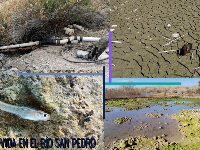 La desigual competencia por los recursos&nbsp;naturales
