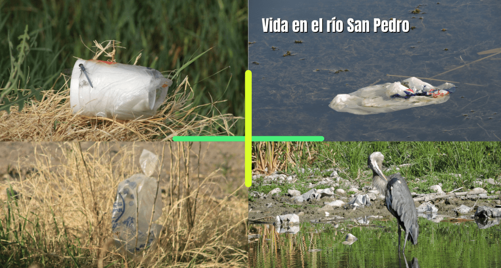 Las bolsas de plástico: un solo uso, daño&nbsp;permanente