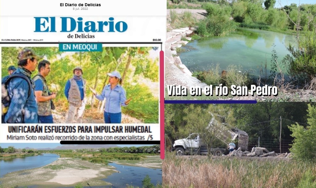 Los nuevos “nuevos planes” y el ecologismo para la&nbsp;foto