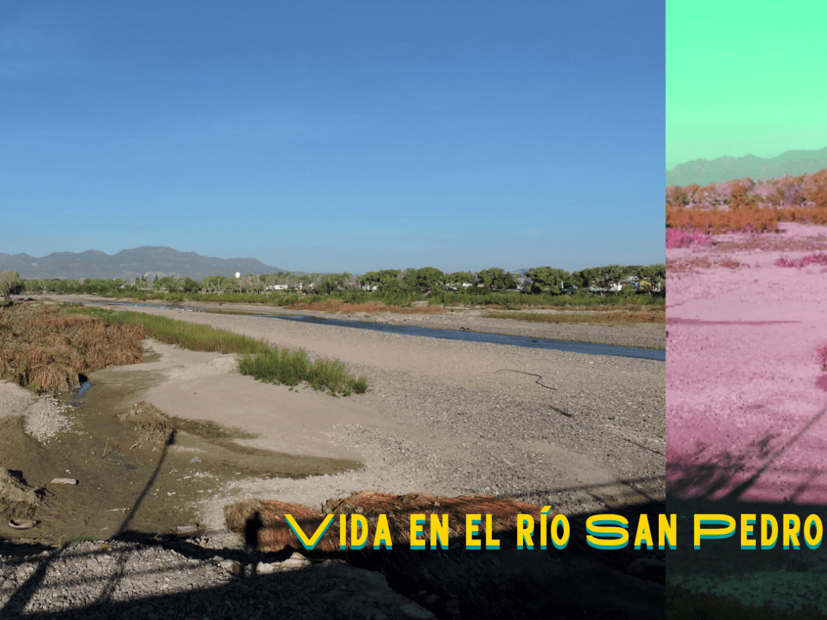 De vuelta a la realidad: El río San Pedro&nbsp;seco