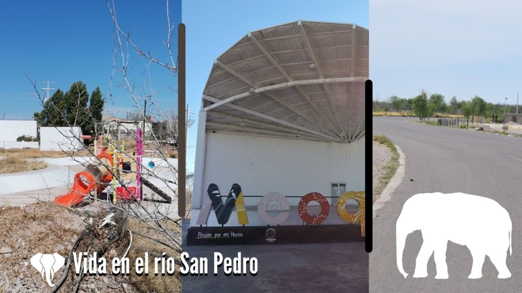 Los elefantes blancos de Meoqui: Caso río San&nbsp;Pedro