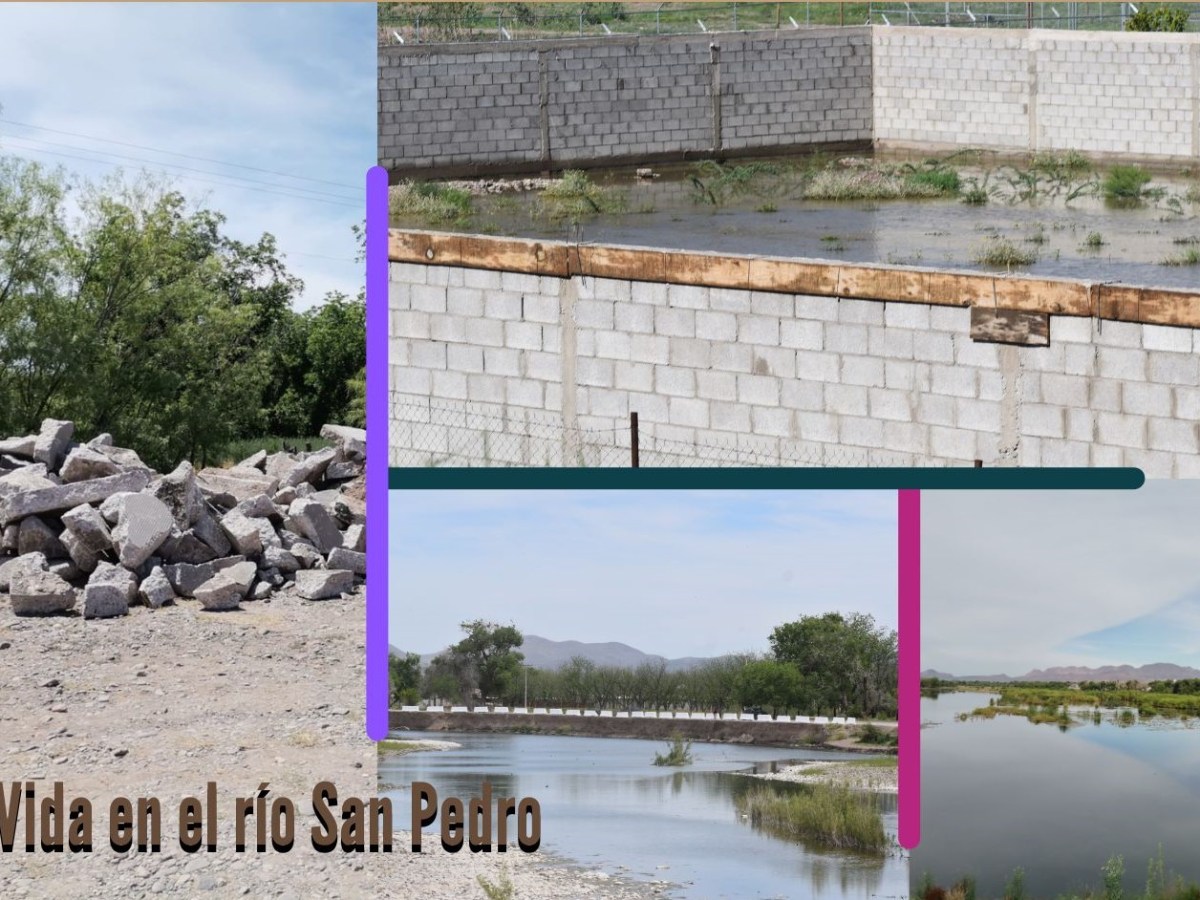 La dudosa necesidad de reencauzar el río San&nbsp;Pedro