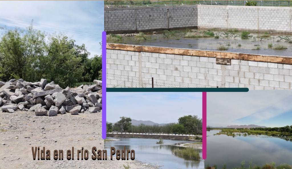 La dudosa necesidad de reencauzar el río San&nbsp;Pedro