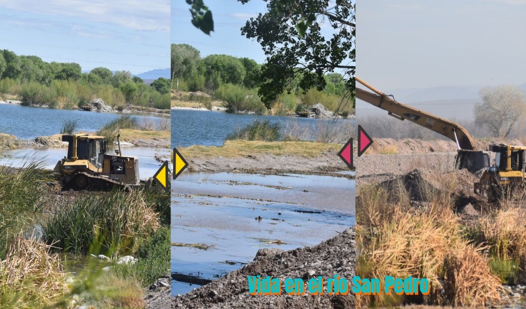 Enseñando al río como ser&nbsp;río